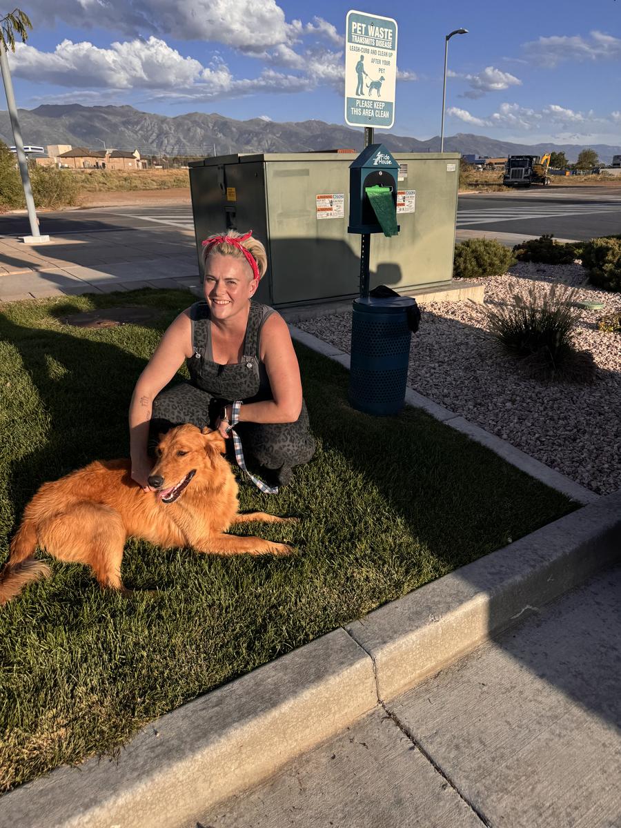 Milo, a rescue dog through IDGRR