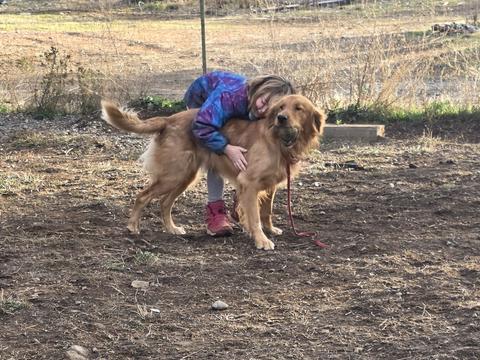 Zurg, a rescue dog through IDGRR