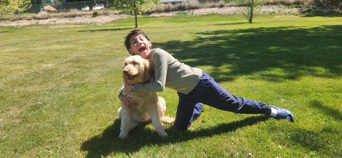 Goldie, a rescue dog through IDGRR